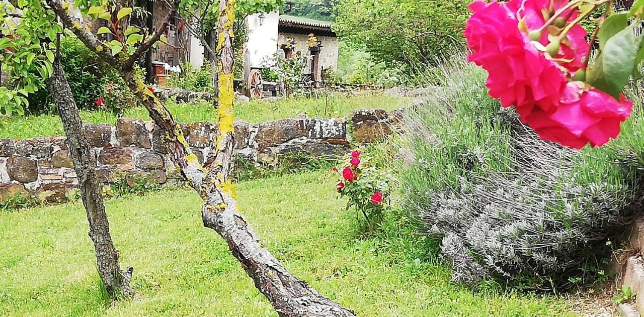 B&B Caselunghe Camerino Bagian luar foto